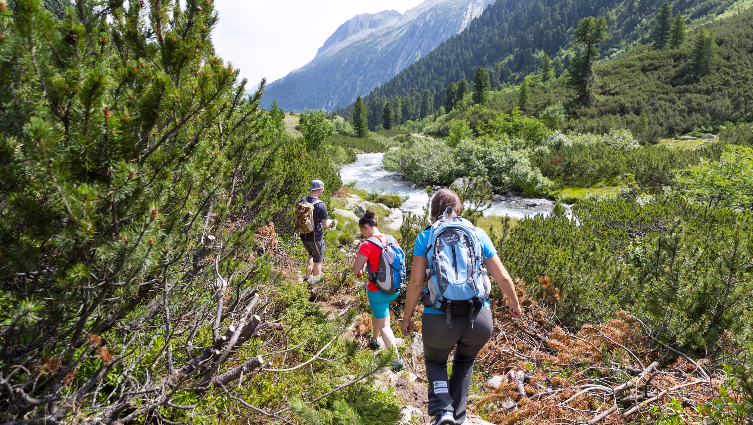 Erwachsene wandern neben einem Bergbach  